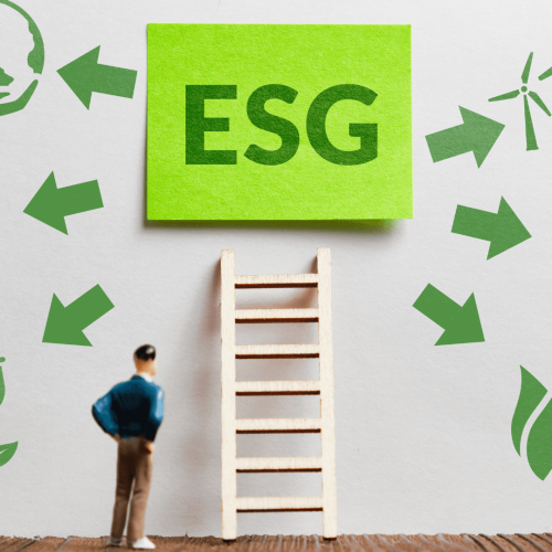 Práticas ESG: Estratégias para relatórios transparentes e conformidade