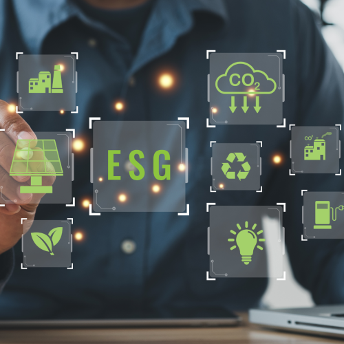 ISO 14001 – Como preparamos uma transportadora para certificação ambiental e ampliamos as oportunidades de negócio