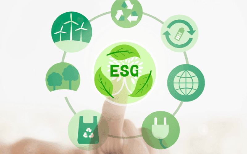 Como Incorporar Sustentabilidade na Gestão Logística com Práticas ESG de Baixo Custo