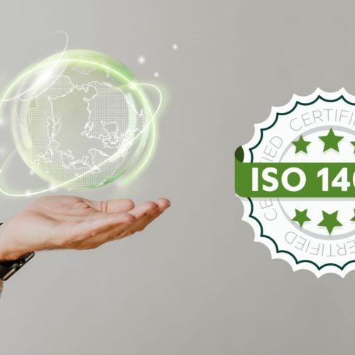 ISO 14001: Como a Gestão Ambiental Transformou Nossa Transportadora e Gerou Lucros